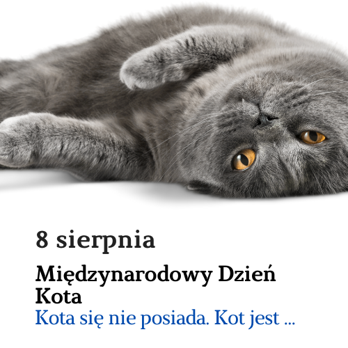 Międzynarodowy Dzień Kota: materiały informacyjne i edukacyjne
